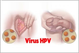 Virus Hpv